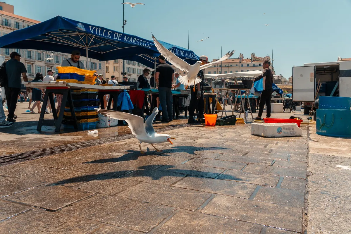 Coastal Market Days: A Month-by-Month Local Guide